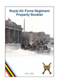 can be downloaded here - RAF Regiment Association