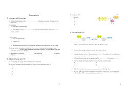 Photosynthesis Student Notes 4 8th grade