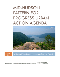 Milennial Marketing Plan for the Town of Fishkill