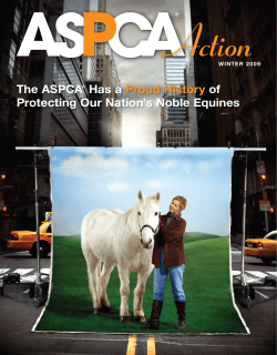 the ASPCA&reg; Has a Proud History of Protecting Our nation`s noble