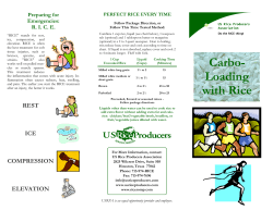 Rice Carbo Loading Brochure