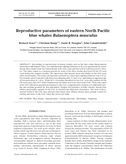 Full text in pdf format