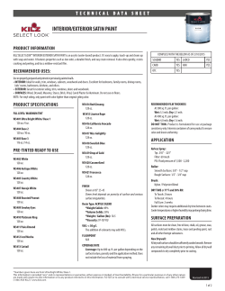 interior/exterior satin paint