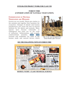 FOREST FIRE (CONSERVATION OF NATURAL VEGETATION)