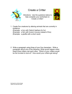 Peer Evaluation Sheet -Simile Worksheet