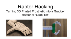 Raptor Hacking