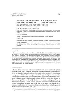 human chromosomes in 18 man-mouse somatic hybrid cell lines