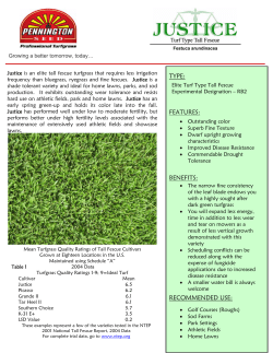 TYPE: BENEFITS: FEATURES: RECOMMENDED USE: