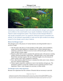 Nitrogen Cycle - Doctors Foster and Smith