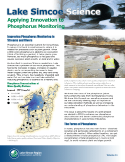 Lake Simcoe Science Newsletter: Phosphorus Monitoring (Volume 11)