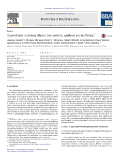 Glycerolipids in photosynthesis: Composition