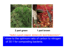 close to the optimum ratio of carbon to nitrogen