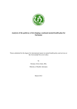 Jintie Herman TM 2012