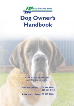Dog Owner`s Handbook - Grey District Council