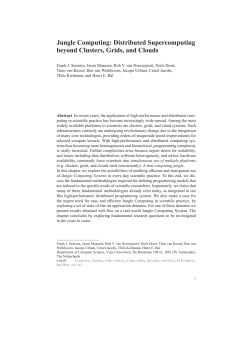 Jungle Computing - Vrije Universiteit Amsterdam