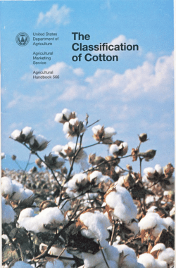 The Classification of Cotton
