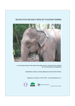 welfare status and cruelty meted out to elephant poornima