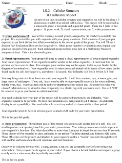 LS.2 &ndash; Cellular Structure 3D Inflatable Model