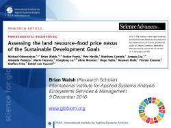 Assessing the land resource&ndash;food price nexus of the