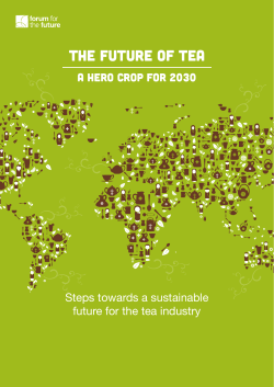 the future of tea - Business in Society Gateway