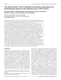 The chemical nature of the 2 -substituent in the pentose