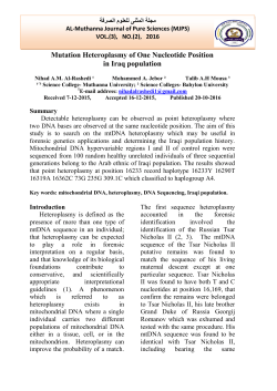 Mutation Heteroplasmy of One Nucleotide Position in Iraq population