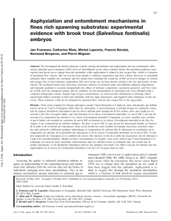 Asphyxiation and entombment mechanisms in fines rich spawning