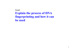 Explain the process of DNA fingerprinting and how it can be used