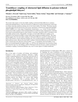 Transbilayer coupling of obstructed lipid diffusion in polymer