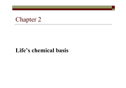 Chapter 2 Powerpoint