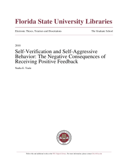 Self-Verification and Self-Aggression: The Negative
