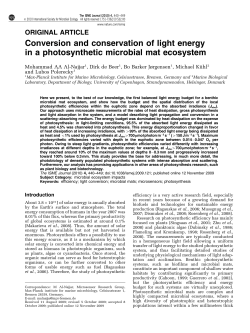 Conversion and conservation of light energy in a photosynthetic