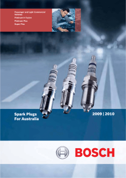 2009 &ntilde; 2010 Spark Plugs For Australia