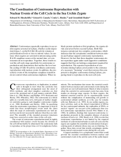 The Coordination of Centrosome Reproduction with Nuclear Events