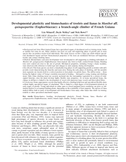 Developmental plasticity and biomechanics of treelets and lianas in