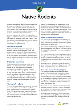 Native Rodents - Tasmania Parks and Wildlife