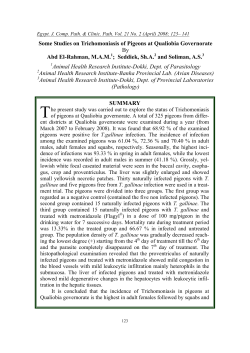 Some Studies on Trichomoniasis of Pigeons at Qualiobia