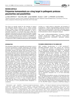 Polyamine homoeostasis as a drug target in pathogenic protozoa