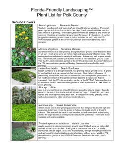 Florida-Friendly Plants for Polk County Landscapes
