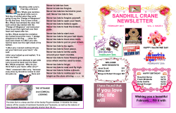 SANDHILL CRANE NEWSLETTER if you love life, life will