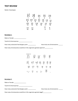test review - Spring Branch ISD
