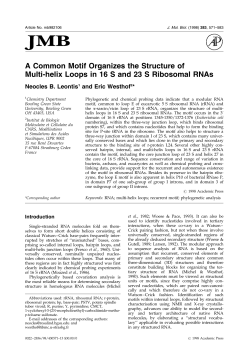 A Common Motif Organizes the Structure of Multi