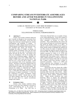 comparing stream invertebrate assemblages before and after