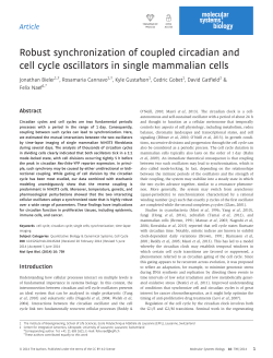 Robust synchronization of coupled circadian and cell cycle