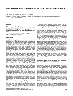 Purification and assay of kinesin from sea urchin eggs and early