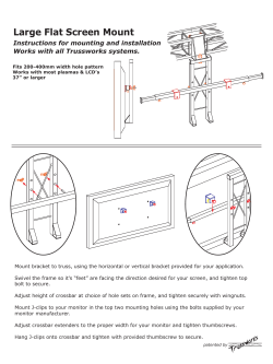 Large Flat Screen Mount