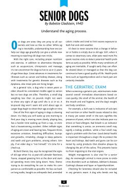 Senior dogS - Dr. Babette Gladstein