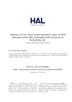 Influence of very short patch mismatch repair on SOS - HAL