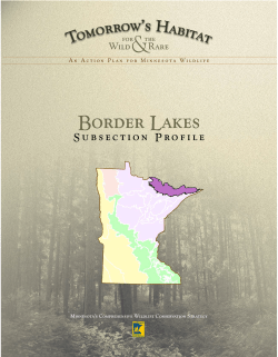 Border Lakes - Minnesota DNR - MN-dnr