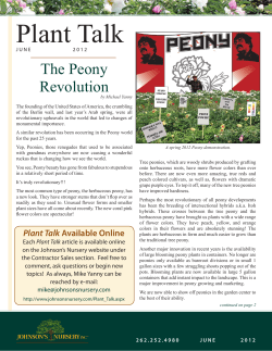 Plant Talk - Johnsons Nursery